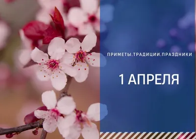 Купить плакаты, открытки, баннеры и другие товары для оформления на 1 апреля,  День Смеха