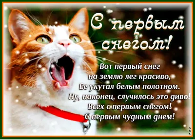 В Киеве сегодня снег - а снег идет Глюкоза, с первым снегом прикольные  картинки, приколы про снег