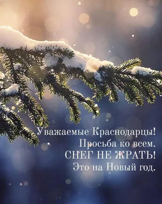 С первым снегом! ❄