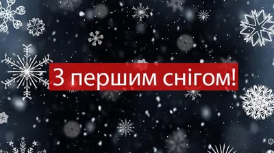 первый снег / прикольные картинки, мемы, смешные комиксы, гифки -  интересные посты на JoyReactor