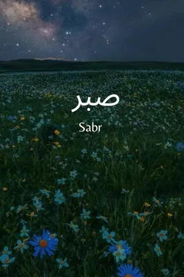 SABR Sticker – KHAIR.