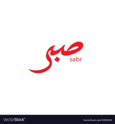 SABR - Digital Growth Partner