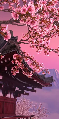 Download Free 100 + sakura wallpaper for phone Wallpapers