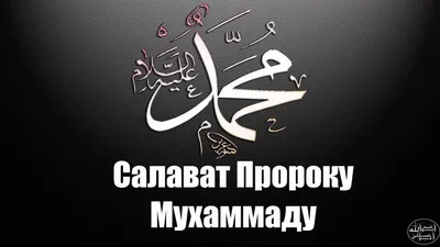 Сегодня пятница, прочитайте суру «Аль-Кахф» и не забывайте больше прои... |  TikTok