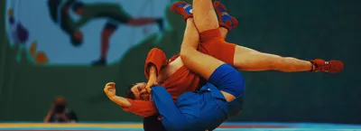 Куртка для самбо ВФС BRAVEGARD Ascend красная - Sambo-shop.com