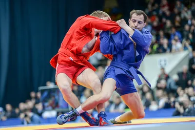 В Новосибирске завершился Чемпионат и Первенство Сибирского федерального  округа по самбо - Новосибирская региональная Федерация Самбо