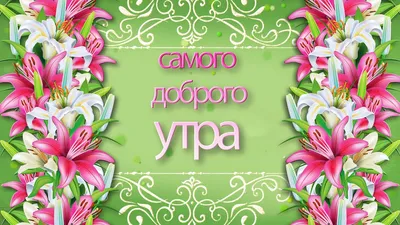 самого доброго утра мои дорогие,и сладкого вам настроения☕☕☕☕🍬🍬 | TikTok