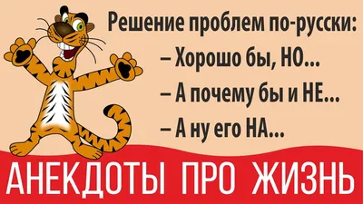 Котоматрица: Котов много в мире но самые смешные на kotomatrikx.ru