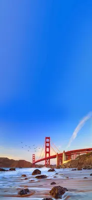 San Francisco Wallpapers, HD San Francisco Backgrounds, Free Images Download