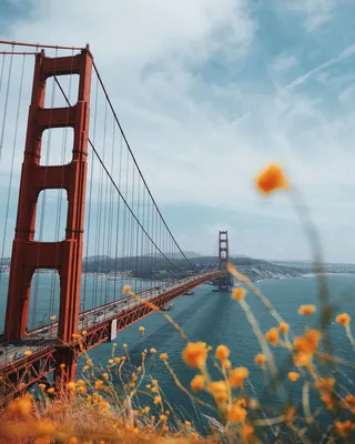 Обои на телефон•обои для iPhone•обои | Golden gate bridge, Golden gate,  Stock photos