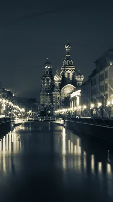 Обои Города Санкт-Петербург, Петергоф (Россия), обои для рабочего стола,  фотографии города, санкт, петербург, петергоф, россия, снег, зима Обои для  рабочего стола, скачать обои картинки заставки на рабочий стол.