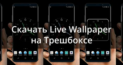 Sunflower Live Wallpaper APK для Android — Скачать