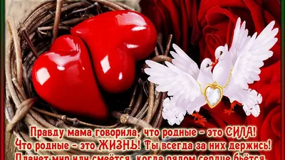 http://vip-otkrytki.ru/mira-schastya-i-dobra-vam/ | Детеныши животных, Мир,  Счастье