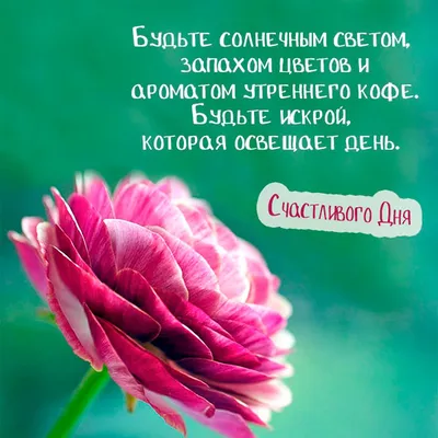 Картинки с надписью - Желаю счастливого дня, пусть сегодня все будет  удаваться.