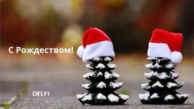 С Новым Годом и счастливого Рождества! | 29.12.2023 | Новости Иваново -  БезФормата