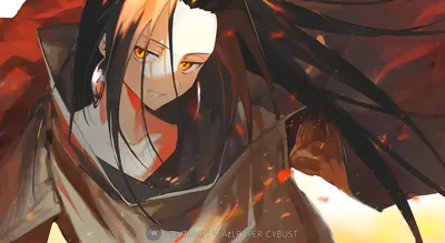 Амидамару | Shaman King Wiki | Fandom