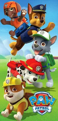 53 Paw patrol ideas | paw patrol, paw patrol party, paw