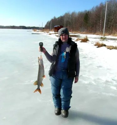 Щука свежемороженая 7 кг + купить в Москве по цене 0 руб. – FROST FISH