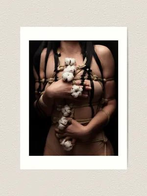 Gold Cotton (1) | Shibari art photography \" Art Print for Sale by Matija  Vid Peček Black | Redbubble