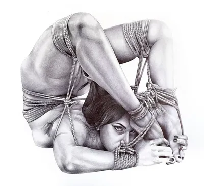 Shibari by uselessanodyne on DeviantArt