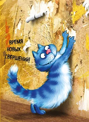 Книга КР \"Наклейки \"Синие коты\" Розовая 99907350 купить за 359,00 ₽ в  интернет-магазине Леонардо