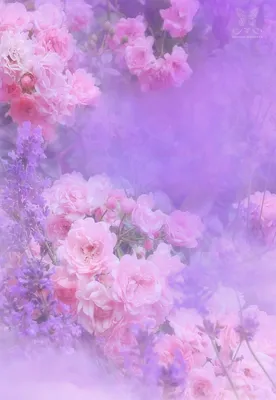 Pin by Ewa Kubiczek on romantic, soft, delicate, nostalgic, ethereal ♔ |  Flower backgrounds, Lavender aesthetic, Purple wallpaper