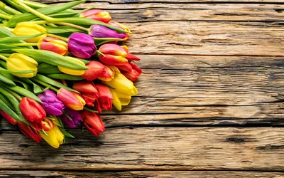 Скачать обои весна, beautiful, fresh, colorful, wood, тюльпаны, tulips,  bright, букет, spring, flowers, цветы, раздел цветы в разрешении … |  Тюльпаны, Цветок, Цветы