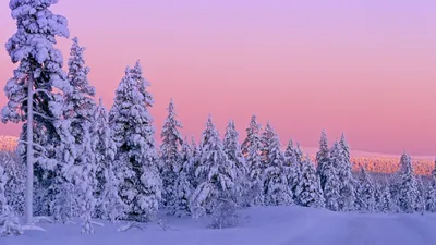 Обои Отражение зимы, картинки - Обои для рабочего стола Отражение зимы фото  из альбома: (природа)