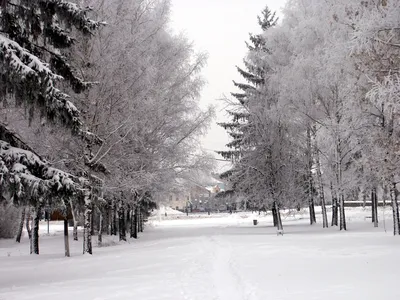 Сказочная зима ❄️ | Instagram