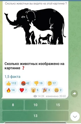 Проверим вашу внимательность? Посчитайте животных на картинке и напишите в  комментарии, сколько у вас получилось.. | ВКонтакте