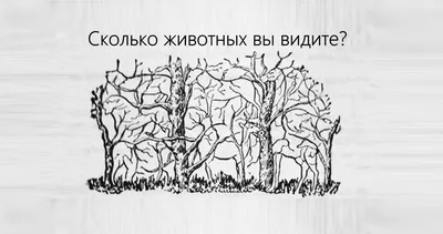 100-летняя головоломка: Сколько животных и лиц спрятано на картинке |  Инфониак | Интересно и полезно | Дзен