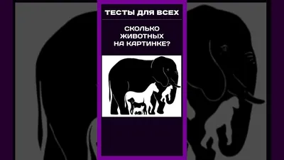 Тест на внимательность: сколько животных изображено на картинке