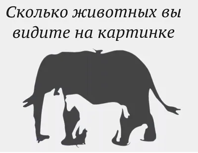 Подсчет Игры Для Детей Дошкольного Возраста Изучение Математики Сколько  Животных На Картинке С Пространством Для Ответов Простая Плоск — стоковая  векторная графика и другие изображения на тему Без людей - iStock