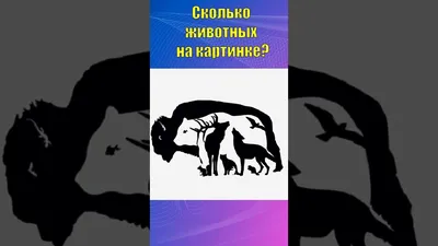 Скільки тварин на картинках, картинки з загадками Стівена Гарднера, фото.