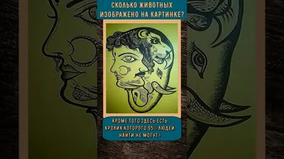 Раскраска СТРЕКОЗА Найди и раскрась 150 картинок Животные купить по цене  120 ₽ в интернет-магазине Детский мир