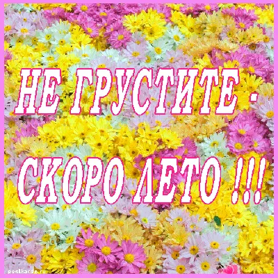 Не грустите - скоро лето - Открытки - С ПОЖЕЛАНИЯМИ