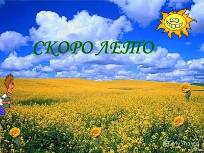 КРЕПИТЕСЬ, ЛЮДИ! СКОРО ЛЕТО!😊🌿🎶 Отчего Так много света? Отчего Вокруг..  | ВКонтакте