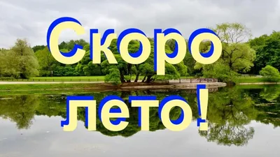 Презентация на тему: \"СКОРО ЛЕТО В ЛЕСУ Мы сегодня в лес пойдем, Нежных  ландышей нарвем. Дома их поставим в вазу, И красиво станет сразу!\". Скачать  бесплатно и без регистрации.