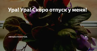 скоро на работу после отпуска прикол понесенько｜Поиск в TikTok