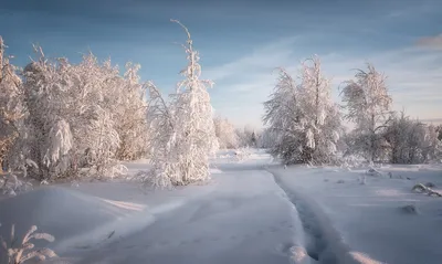 Скоро весна!. Фотограф Приходько Ирина