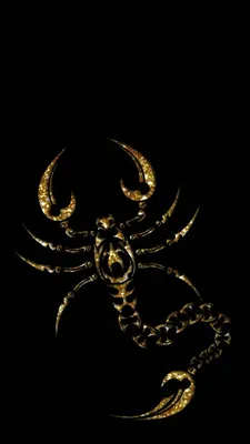 Golden Scorpion | Black and gold aesthetic, Gold aesthetic, Scorpio art