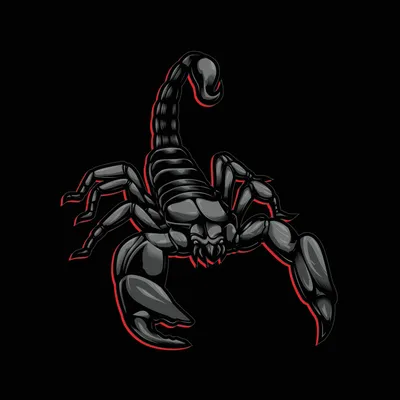 1080x1920 Scorpion Wallpapers for Android Mobile Smartphone [Full HD]