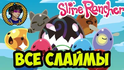 Интерактивная карта Slime Rancher 2 со всеми ресурсами и отметками