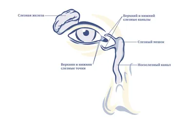 Фальшивые слёзы. Как актёры плачут на сцене и в кино? | Записки актёра |  Дзен