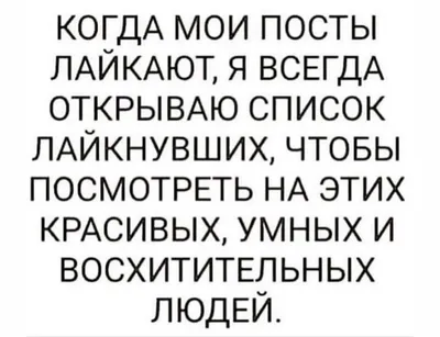 Кошечка с розами купить в интернет-магазине Ярмарка Мастеров по цене 1200 ₽  – NC374BY | Прикольные подарки, Гродно - доставка по России