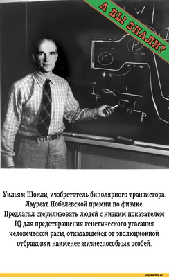 Цвет Всплеск Для Стильных Пожилых Людей Смешные Старшие Пары В Хорошем  Настроении — стоковые фотографии и другие картинки Пожилой возраст - iStock