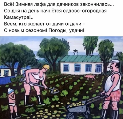 Дачные радости