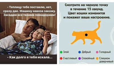 Самые смешные и новые анекдоты - купить с доставкой по выгодным ценам в  интернет-магазине OZON (149036145)