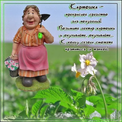 Омский форум :: (С Праздником, друзья! 23 июля - день дачника!)