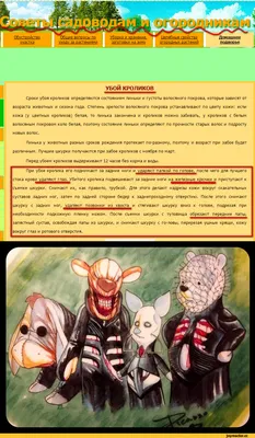 Приключения Буратино,или Золотой ключик (илл.Г.Огородникова) (Алексей  Толстой) - купить книгу с доставкой в интернет-магазине «Читай-город».  ISBN: 978-5-35-309965-9